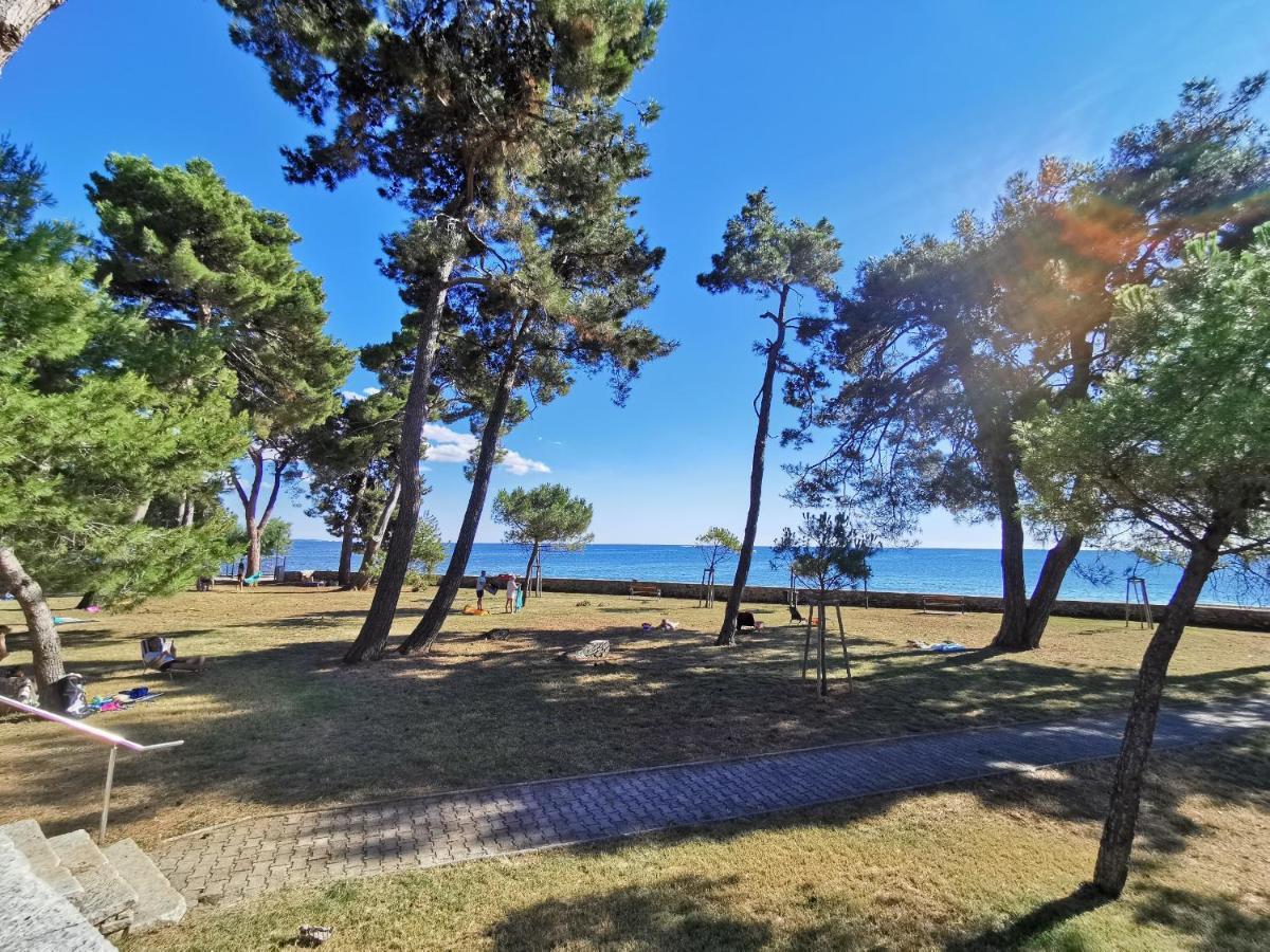Emily Deluxe Superior 5 Star Studio Apartment, Your Piece Of Heaven With Sea & Park View Novigrad  Luaran gambar
